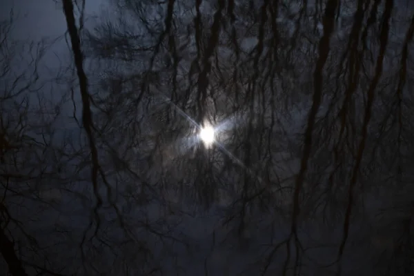 Spiegelung Der Sonne Wasser Strahlende Sonne Dunklen Wasser Sommer Ruhigen — Stockfoto