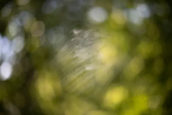 Vidrio Sucio Lavando Ventana Vidrio Transparente Está Cubierto Polvo Luz — Foto de Stock