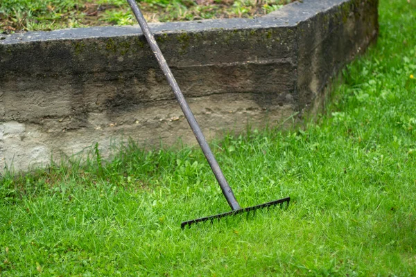 Gereblye Kertben Kerti Szerszámok Gereblye Rövid Gyepen — Stock Fotó