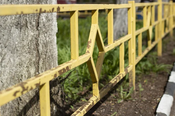Sárga Kerítés Repülő Festékkel Kerítés Virágágyások Udvari Terület Alacsony Kerítéssel — Stock Fotó