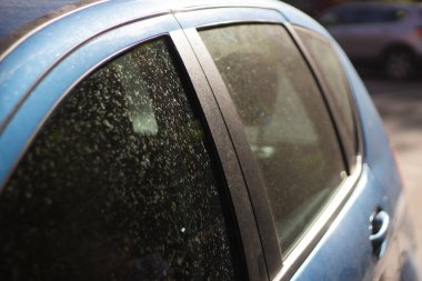 Kirli araba penceresi. Ön camda toz var. Mavi araba detaylarda gizli..