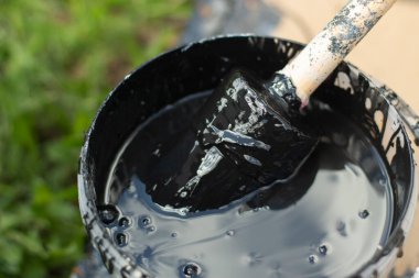 Bir kova boya fırçala. Kovadaki siyah boya. Sokak için boyanmış yuvarlak çalılar..