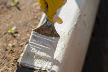 Sınırları beyaz boyayla boyamak. Asfalta yağlı boya sürüyorum. Yayalar için işaretler oluşturuluyor. Boya fırçası. Ressam olarak çalış. Kalın bir boya katmanıyla yüzeyi boyuyor..