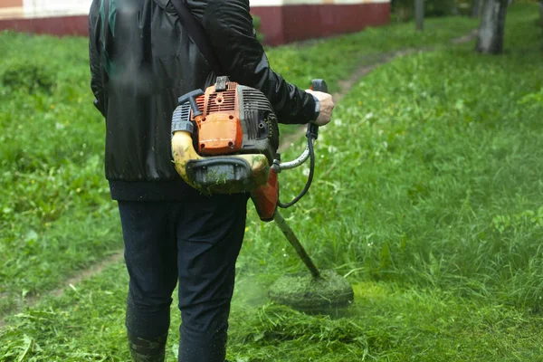 Memotong Rumput Dengan Mesin Pemotong Rumput Genggam Tukang Kebun Sedang — Stok Foto