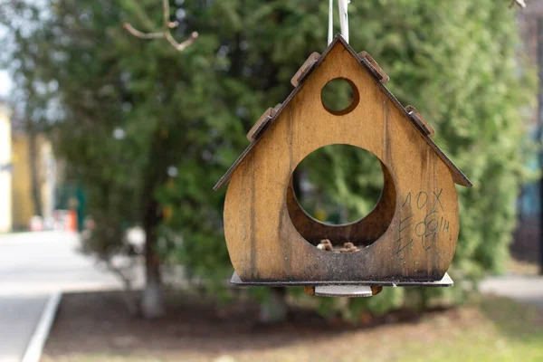 Ein Vogelhaus Futterplatz Für Zugvögel Ein Holzhaus Hängt Einem Seil — Stockfoto