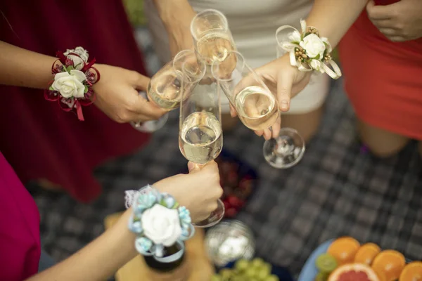 Kızlar Şarap Kadehlerini Deviriyor Doğada Piknik — Stok fotoğraf