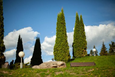 Ağaçlı şehir parkı. Slaytlı bir yaz parkı. Dinlenme yeri. Doğal bir konumun peyzajı.