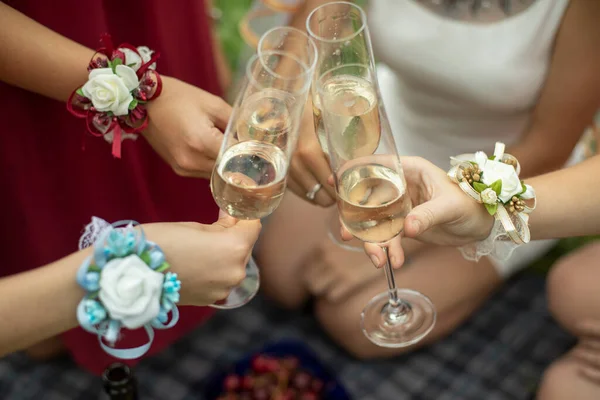 Les Filles Frappent Des Verres Vin Pique Nique Dans Nature — Photo