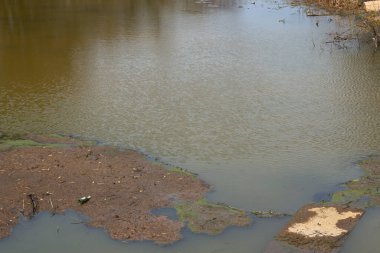Nehir suyunun kirliliği. Gölde biriken kanalizasyon. Atık bir su deposuna boşaltıldı..