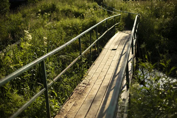 Small bridge over the river. Wooden platform across the swamp. Old bridge in the park.