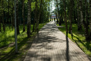Yazın park yolu. Döşemeli yol. Yayalar için yer.