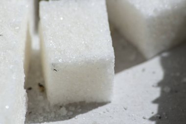 Bir parça beyaz şeker. Kare şeker. Tatlı ürün..