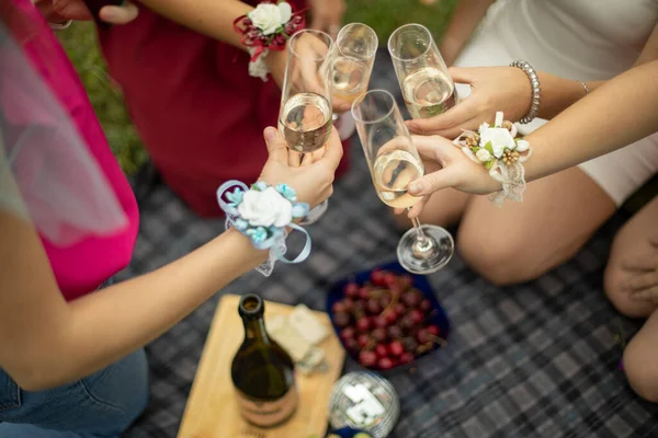 Les Filles Frappent Des Verres Vin Pique Nique Dans Nature — Photo