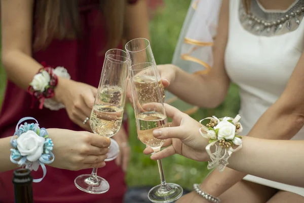 Les Filles Frappent Des Verres Vin Pique Nique Dans Nature — Photo