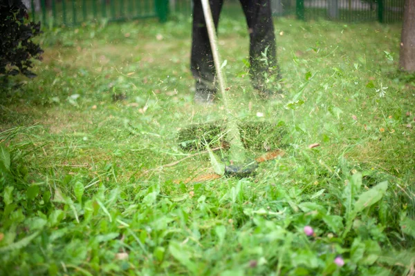 Pemotong Rumput Memotong Rumput Halaman Membersihkan Rumput Yang Panjang Tukang — Stok Foto
