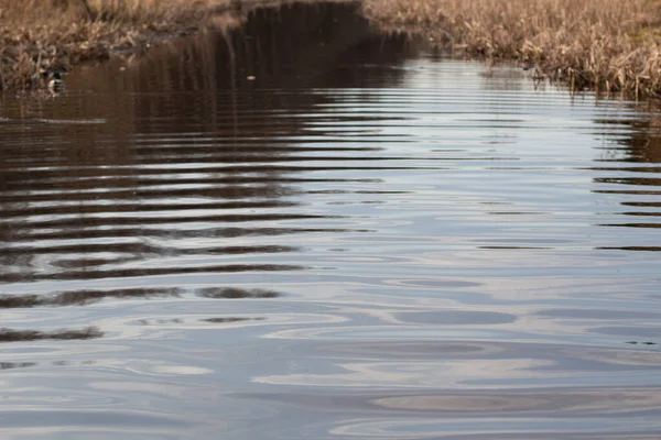 Lugn Flod Liten Liten Dal Flod Där Det Lätt Att — Stockfoto