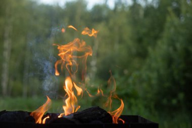 Yanan kömürden çıkan ateş. Akşamları şenlik ateşi. Ateşin dilleri doğada.