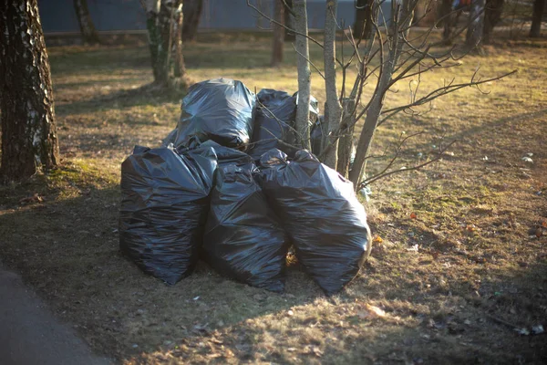 Garbage Bags Street Collected Trash Black Bags Cleaning Territory City — Stock Photo, Image