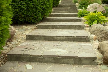 Parkta taştan yapılmış merdiven. Bahçedeki patika. Botanik bahçesindeki yayalar için yükselme. Somut adımlar.