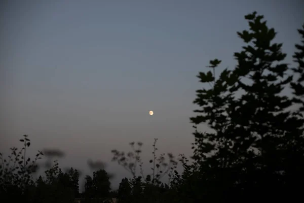 Kleiner Mond Himmel Abendlandschaft Außerhalb Der Stadt Der Himmelskörper Glüht — Stockfoto