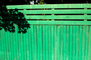 Yeşil çit. Evin etrafını sarın. Banliyö bölgesinin ayrıntıları.