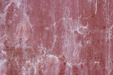 Duvardaki plaketin dokusu. Duvar beyaz küfle kaplı. Alçılı boşanmalar.