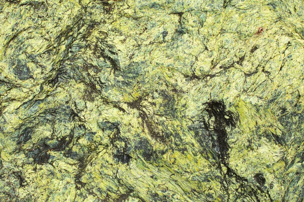 Textura Piedra Verde Fondo Piedra Detalle Una Rara Raza Roca —  Fotos de Stock
