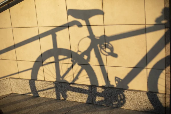 Sombra Bicicleta Pared Silueta Transporte Mecánico Sobre Una Baldosa Imagen —  Fotos de Stock