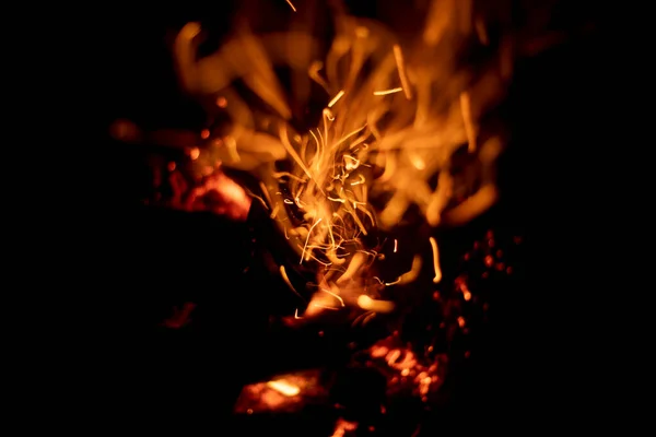 Beautiful Fire Firewood Burns Dark Coal Sparks Flame Night Dry — Stock Photo, Image