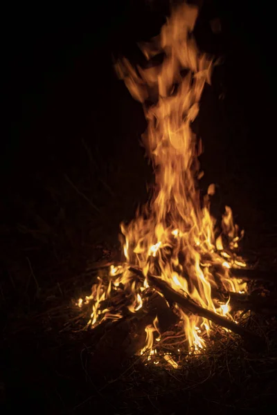 Api Dalam Gelap Api Dari Kayu Yang Terbakar Lidah Api — Stok Foto