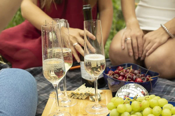 Kızlar Ellerinde Bardak Tutuyorlar Arkadaşlar Piknikte Şarap Içerler Doğadaki Kızlar — Stok fotoğraf