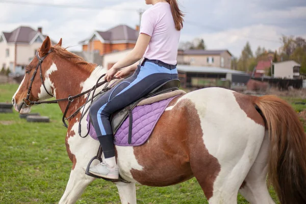 那姑娘绕着马转来转去 和马一起上课骑马的女人能克服障碍 夏天在农场里有马的畜牧场 — 图库照片