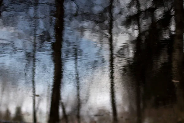 Reflexión Sobre Agua Superficie Del Estanque Los Árboles Reflejan Charco —  Fotos de Stock