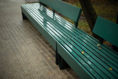Parktaki bankta yağmurda. Kötü havada mobilya park etmek. Islak yüzey. Dinlenme koltuğu.