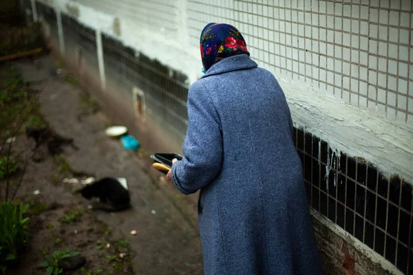 Mujer Jubilada Rusia Mujer Mayor Europa Del Este Alimentando Gatos — Foto de Stock