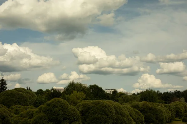 Wolken Het Stadspark Zomer Weer Lucht Witte Wolken Drijven Ergens — Stockfoto