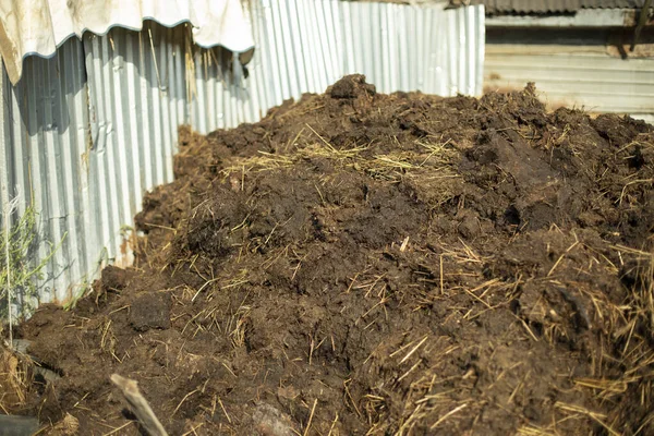 Mest Boerderij Meststoffen Voor Tuin Koeienmest Ligt Een Grote Stapel — Stockfoto