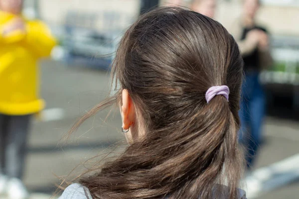 Τρίχες Στο Κεφάλι Μαλλιά Της Κοπέλας Τρίχες Μαζεμένες Αλογοουρά Κοτσίδα — Φωτογραφία Αρχείου