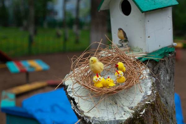 Kippen Het Nest Kippen Zijn Gemaakt Van Wol Decoratie Voor — Stockfoto