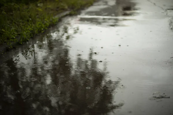 Asfalto Húmido Chuva Parque Superfície Molhada Estrada Depois Chuva Água — Fotografia de Stock