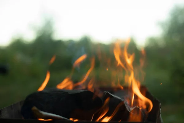 Вогонь Від Спалювання Вугілля Полум Вогню Ввечері Мови Вогню Природі — стокове фото