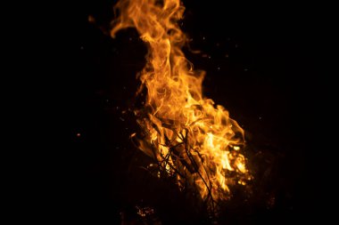 Geceleyin şenlik ateşi. Karanlıkta sarı ateş. Parlak bir ateşte kurumuş dalları yakmak. Yanma sürecinin doğal arkaplanı.