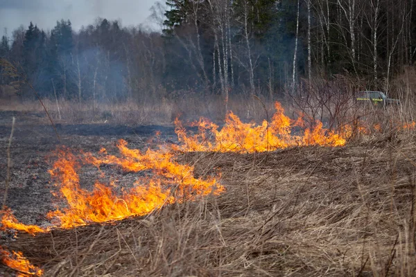 Καίγεται Γρασίδι Φωτιά Στο Χωράφι Την Άνοιξη Καίγοντας Νεκρά Ξύλα — Φωτογραφία Αρχείου