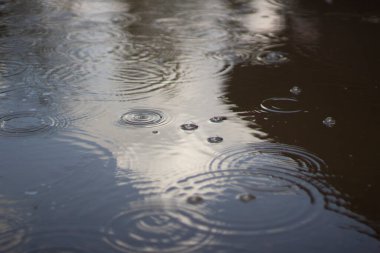 Su birikintisindeki yağmur damlaları. Suyun üzerindeki yağmurdan daireler çiziyor. Yağmurlu bir gün. Sonbahar yağmuru başlıyor.