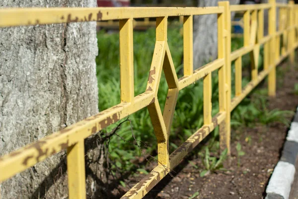 Sárga Kerítés Repülő Festékkel Kerítés Virágágyások Udvari Terület Alacsony Kerítéssel — Stock Fotó