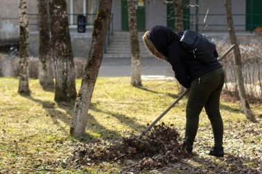 Yaprakları tırmıkla temizliyorum. Bölgeyi düşen yapraklardan temizliyorum. Bahçeye düzen koyuyorum..