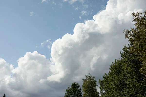 Wolken Boven Het Bos Landschap Natuur Zomer Weer Schoonheid Van — Stockfoto