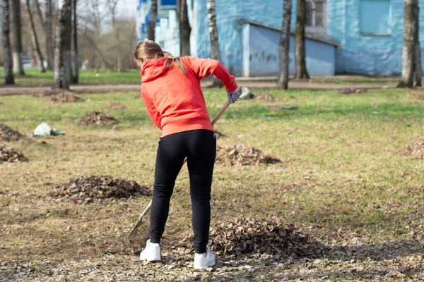 Čištění Listů Hráběmi Čistí Oblast Spadlého Listí Uspořádání Objednávky Dvoře — Stock fotografie