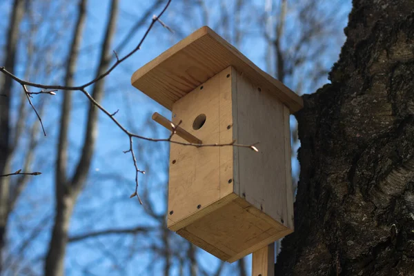 Ett Hus För Fågel Trähus Utfodringsplats För Övervintrande Fåglar — Stockfoto
