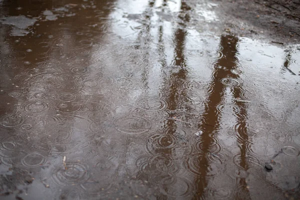 Draußen Regen Eine Pfütze Der Stadt Die Reflexion Der Bäume — Stockfoto